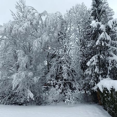 Le Carlton Apartman Chamonix Kültér fotó
